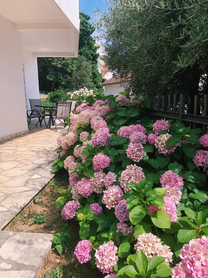Apartments Hollaj Ulcinj Exterior foto
